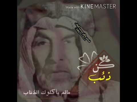 الذيب الاحمر ابو حواس