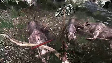 Trying out Sands of Time in Skyrim VR heavily modded