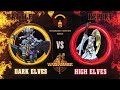 009 Battle for Blood River. Warhammer Fantasy High Elves vs Dark Elves 2000pts battle report.