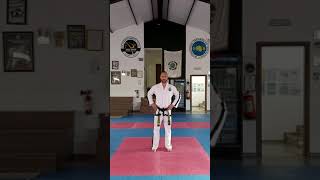 Saju Makgi (17 moves) four direction block Taekwon-do ITF Fundamental movements and Demo