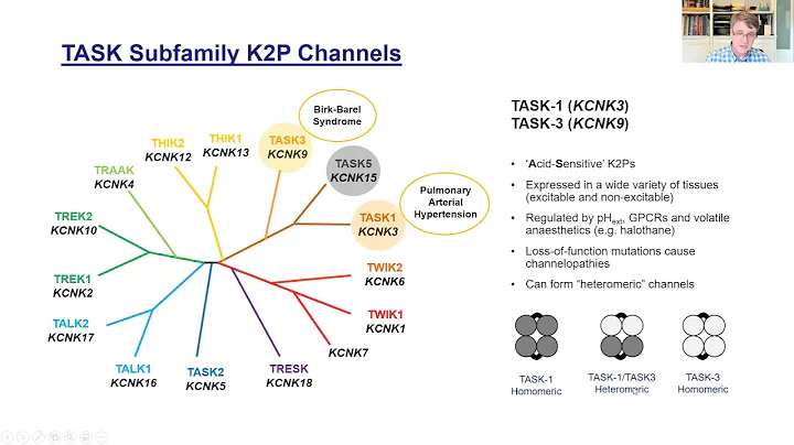 Professor Stephen Tucker presents Metrion's second webinar