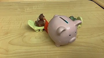 AWARD WINNER! Get Your Ducks In A Row (Mykenzi, Jordan, Lindsay)