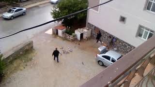 Bir kuş gibi uçtun geldin