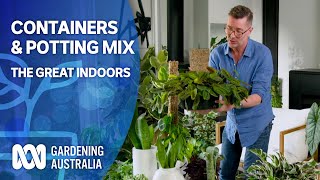 Containers & Potting Mix  | Indoor Plants And Balcony Gardens | Gardening Australia