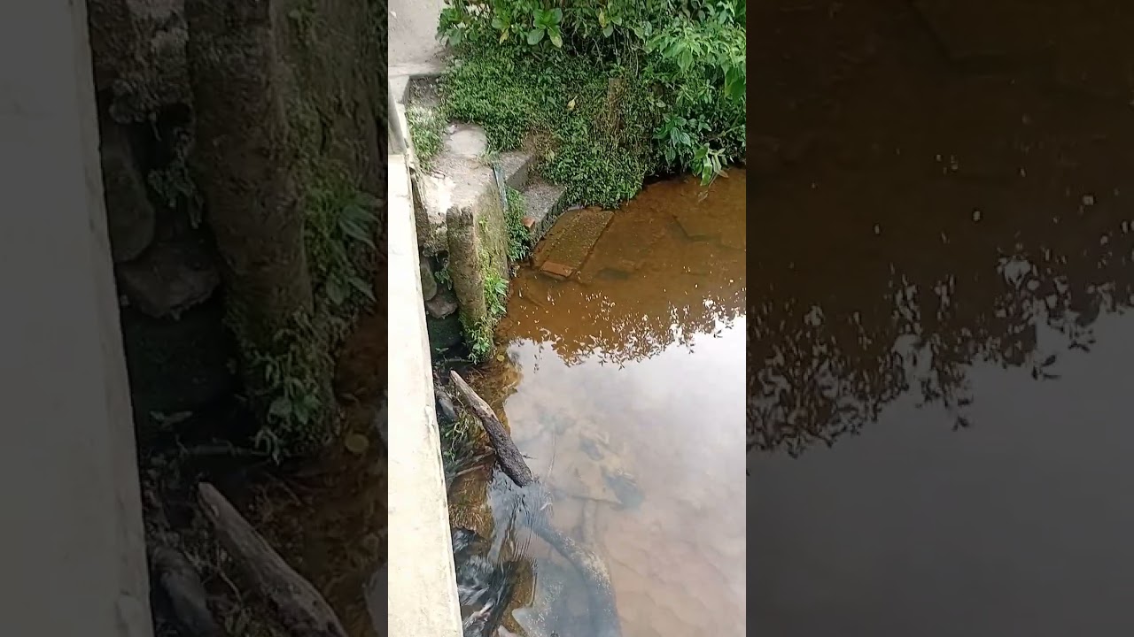 11 de janeiro de 2026