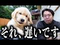 多くの飼い主さんが間違えている拾い食いの止め方