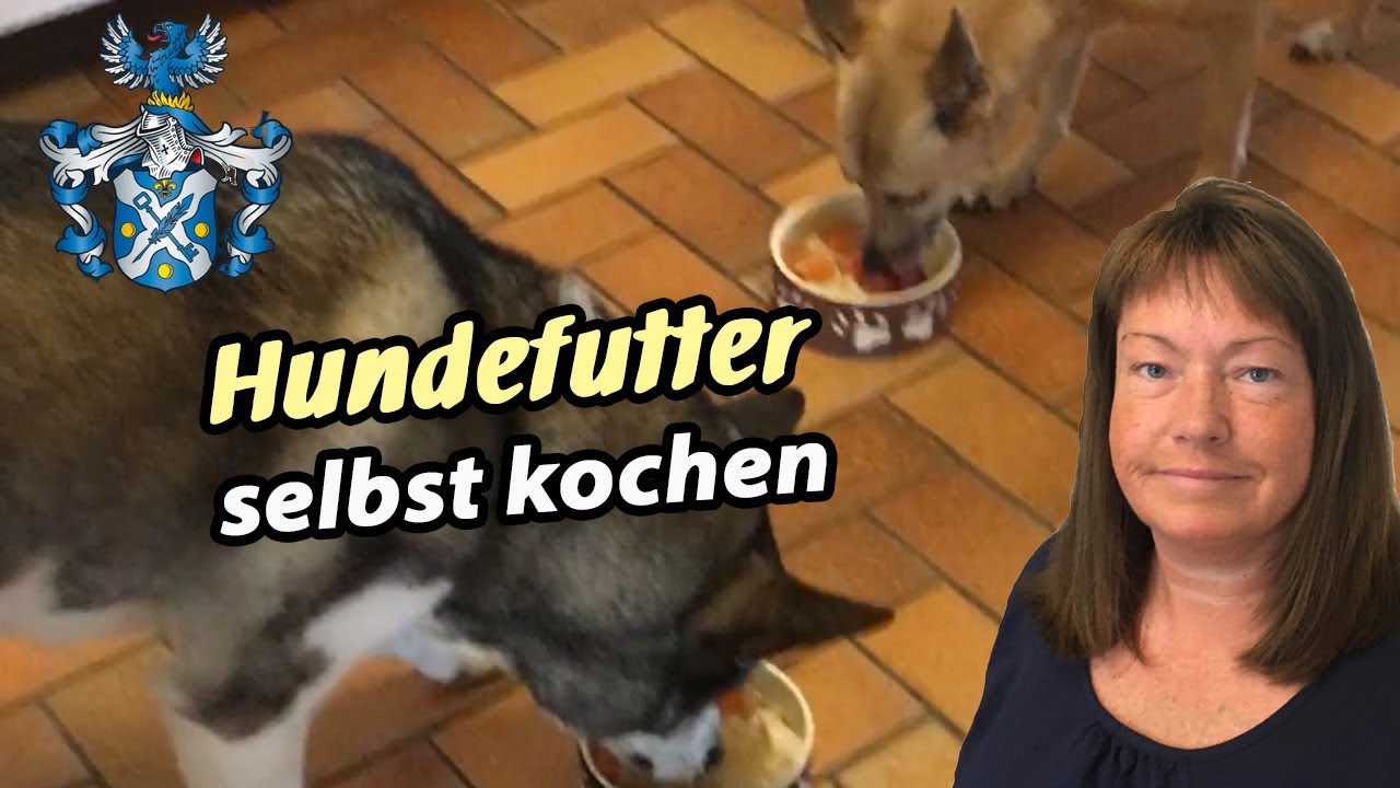 Hundefutter selbst kochen