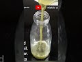 summer healthy drink #shortsviral #shortvideos #shots #foodshorts #summerdrink #summerspecial #heat