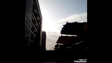 سورة الإخلاص❤️😍 بصوت الشيخ سعد الغامدي مع ساحة المسجد النبوي الشريف #سورة_الإخلاص #المسجد_النبوي