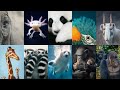 Chapter 1 of the Origin of Species by Charles Darwin the concept of artificial selection.