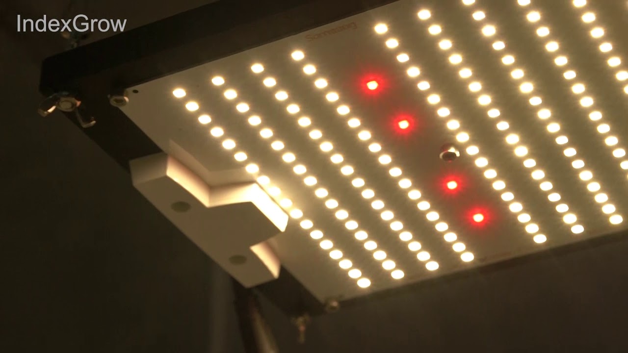 CN-240w LM301H+CREE XP-E2 660nm