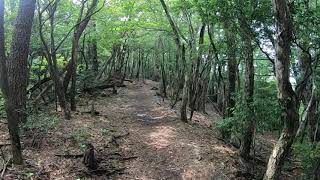 アラフィフのOutdoorlife えびの高原池巡り~白鳥山登山