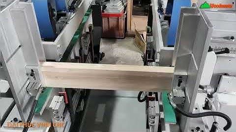 MÁY CẮT 2 Đầu Khoan Đa Chiều Woodmaster giá tốt nhất tp HCM