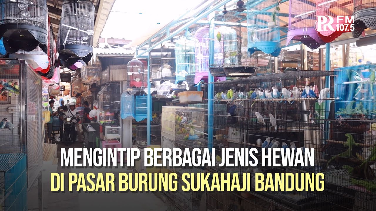 Sukahaji jam keliling telusuri Jasa Pendirian Yayasan Sukahaji Bandung