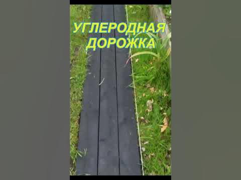 ДОРОЖКА ИЗ УГЛЕРОДА - YouTube