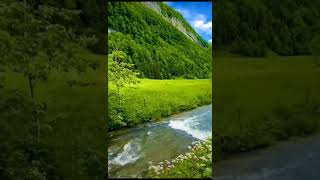 Sleep Observing Nature