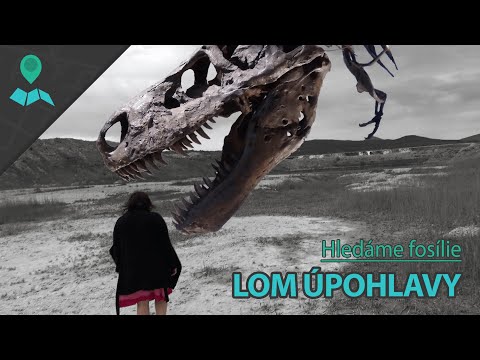 Video: Kde Najdete Dinosauří Kosti, Fosílie Po Celém Světě