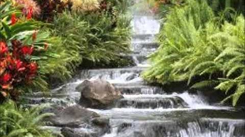 القارئ عثمان نعمان الأركاني مسجد ال ياسر الروضة