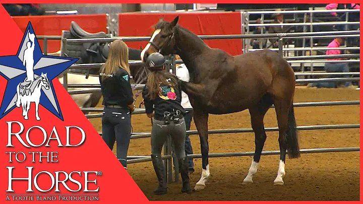 Road to the Horse 2017 - Extra Footage - Vicki Wil...