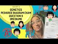 Pedigree Diagrams and Genetic Disorders Quiz