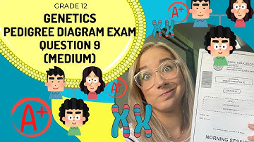 Genetics Question 9 on Pedigree diagrams (MEDIUM)