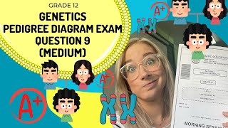 Genetics Question 9 on Pedigree diagrams (MEDIUM)