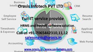 Savvy HRMS is a Browser based HR and Payroll Applicatio screenshot 2