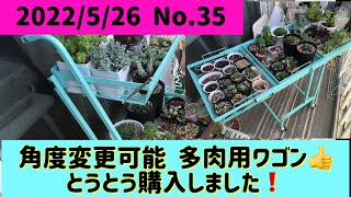 【多肉植物】メッシュカゴ付き 多肉ワゴン キャスター付き 角度調節可能❗️とうとう購入しました