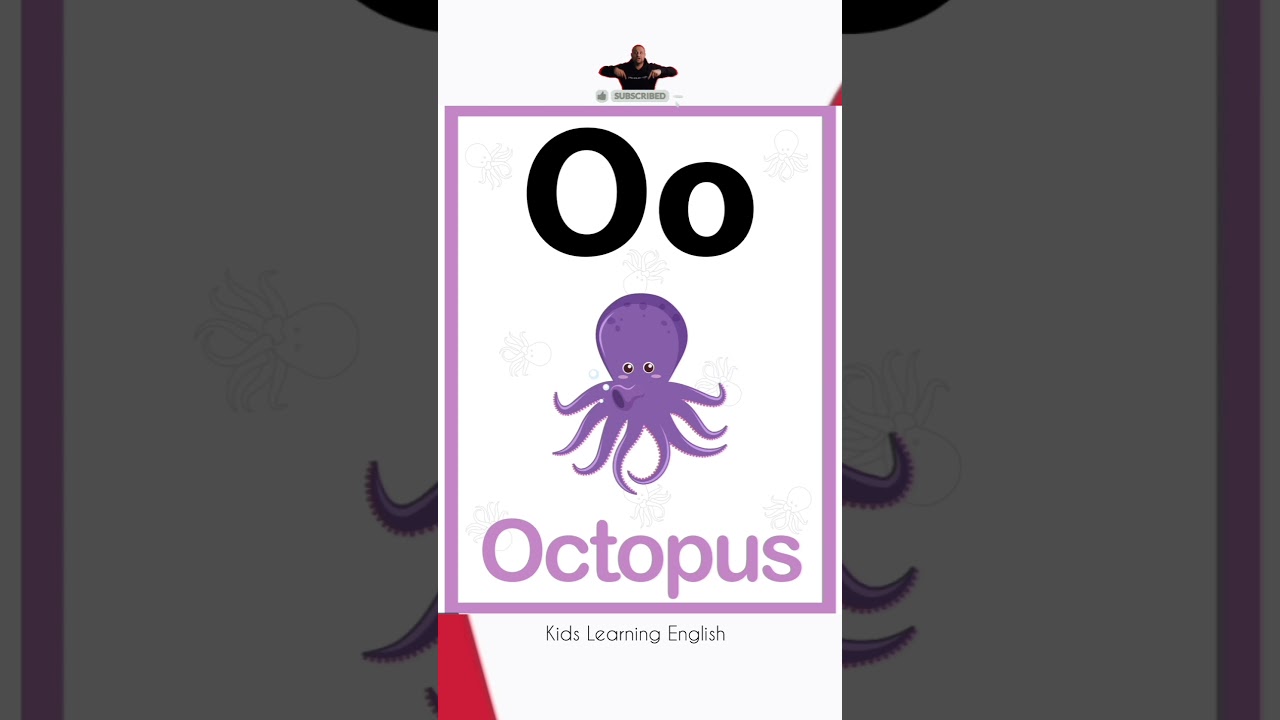 English Conversation Practice  