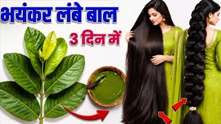 अमरूद के पत्ते में 1 चीज मिलाकर बालों में लगा लो Bal bhayankar lambe Ghane honge - Hair loss screenshot 2