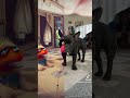 BLACKY & HACHI 2024(1)