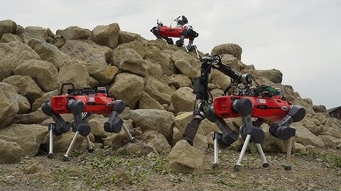 Scientific Exploration of Challenging Planetary Analog Environments with a Team of Legged Robots