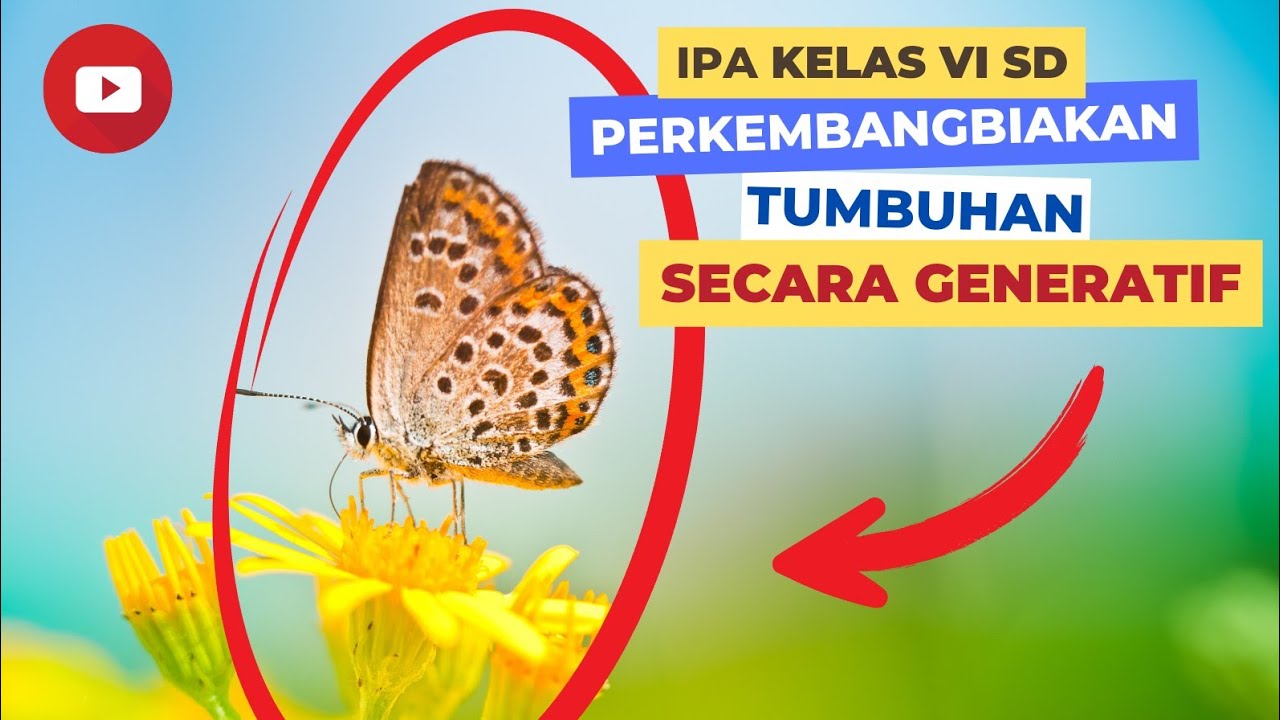 Perkembangbiakan Generatif Pada Tumbuhan Bagian Bagian Bunga
