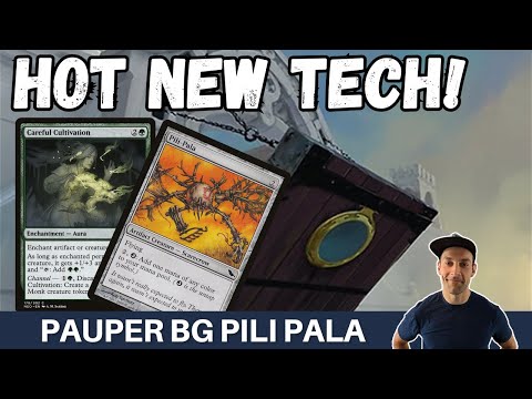BRAND NEW PLAN Pauper Golgari Pili-Pala Combo has streamlined mana and still gets haste for OTK