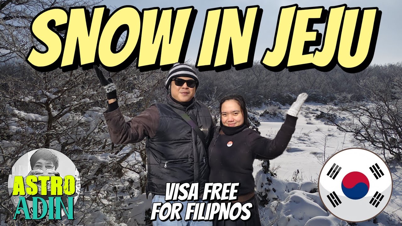 Snow in Jeju | Mt. Halla 1100 Altitude Wetland | Jeju Vlog 🇰🇷