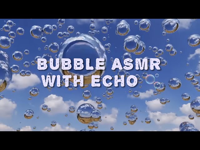 BUBBLE ASMR WITH ECHO 🫧