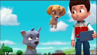 Paw Patrol Skye Loves Weddings, Decorating, Dressing Up, And Flipping.