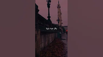وقالوا سعيده في حياتها 