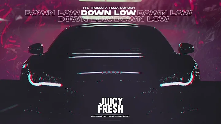 Hr. Troels x Felix Schorn - Down Low (Official Aud...