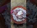 أحلى طاجين صحي و سريع التحضير باللحم و البصل و البرقوق A Delicious Moroccan Tajine أحلى طاجين صحي و سريع التحضير باللحم و البصل و البرقوق A Delicious Moroccan Tajine