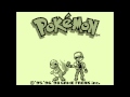 Pokmon red  blue  the road to lavender town