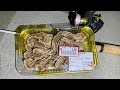 345円で売っている"謎食材"で魚がめちゃくちゃ釣れる件