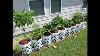 The Evolution Of The Rain Gutter Grow System Huge Improvements