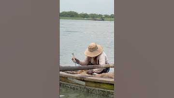 Tôm càng xanh siêu to trên dòng sông Cửu Long gắn liền với cuộc sống mưu sinh #dacsanmiensongnuoc