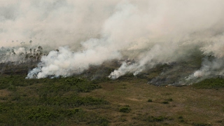 Massive wildfire prompts evacuations in Georgia