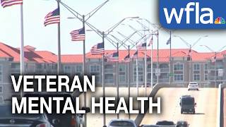 American flags raised along Green Bridge to spread awareness of veteran suicide