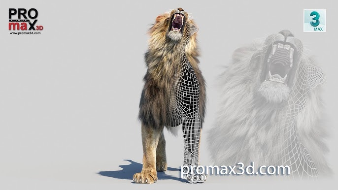 The #AnimalSounds: #Lion Roar - #SoundEffect - #Animation #LionVideo  #forKids