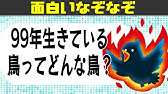 なぞなぞクイズ中学生向けでちょっとむずかしいかも Youtube