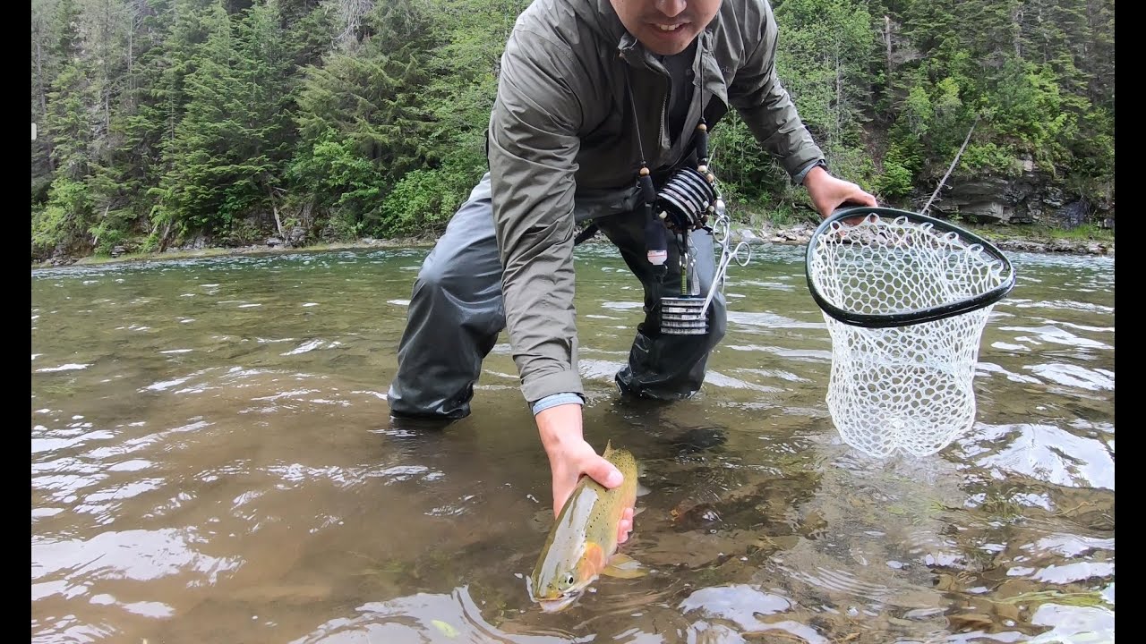 Breaking my own Rules Fly Fishing on the North Fork Coeur D'Alene River