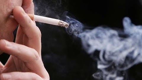 菸廠內部人員爆出一個隱瞞多年的可怕秘密，原來香菸裡最恐怖的居然是「那個東西」！